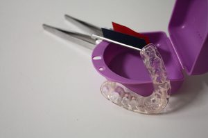 gnatologia